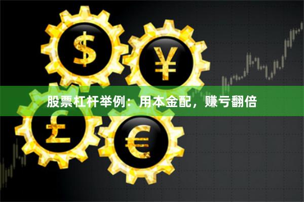 股票杠杆举例：用本金配，赚亏翻倍